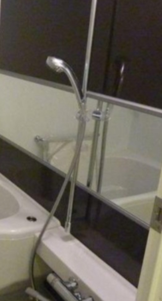 バス・シャワールーム　別タイプ部屋　参考写真です