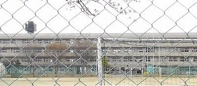 中学校　白岡中学校（中学校）まで850m