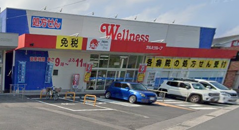 ドラックストア　ウェルネス 橋南店（ドラッグストア）まで1035m