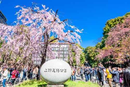 公園　上野恩賜公園（公園）まで837m