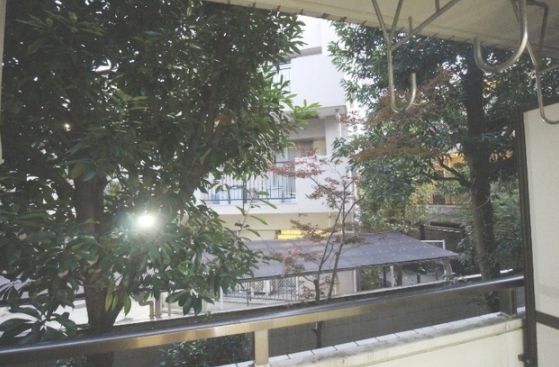 眺望　桜新町アムフラット