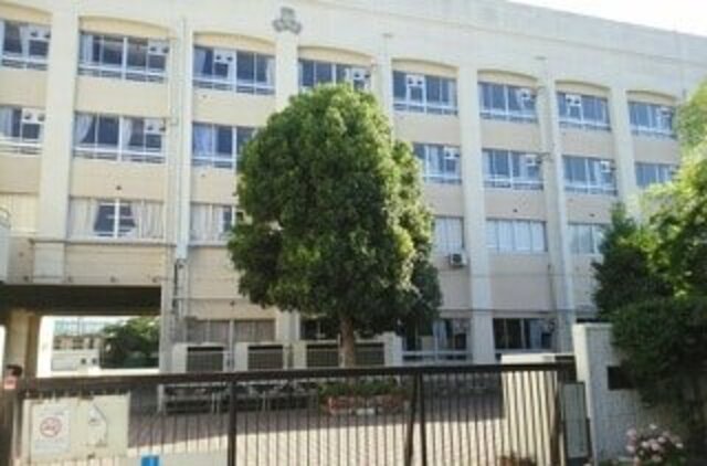 小学校　川崎市立高津小学校（小学校）まで347m