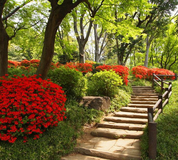 公園　有栖川公園（公園）まで1222m