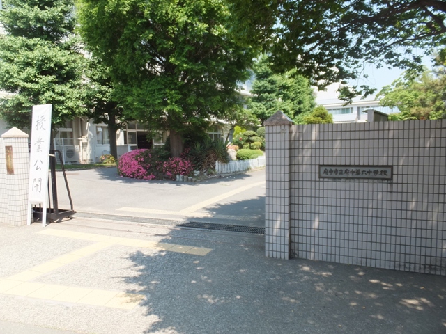 中学校　府中市立府中第六中学校（中学校）まで672m