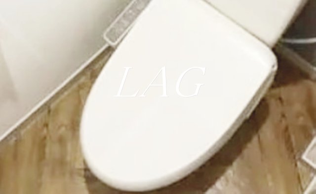 トイレ　トイレです。