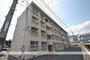 城元マンション 4階 築48年3ヶ月の賃貸物件