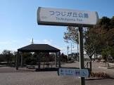 公園　つつじが丘公園（公園）まで436m
