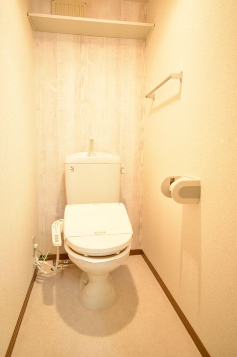 ＪＲ高山本線 東八尾駅 徒歩52分 2階建 築26年のトイレ写真