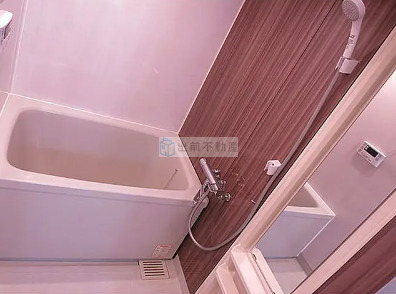 那須ハイライズの風呂写真