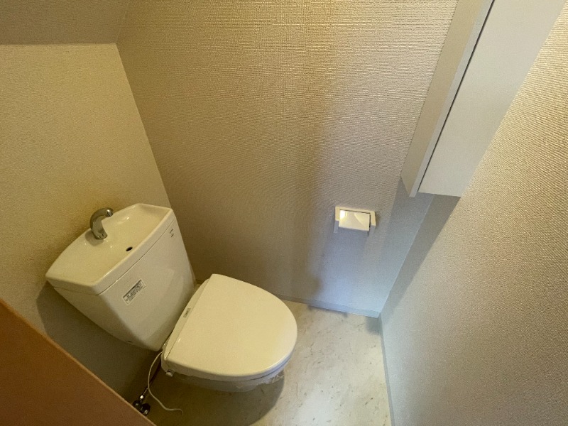 テラス パレフルーヴのトイレ写真
