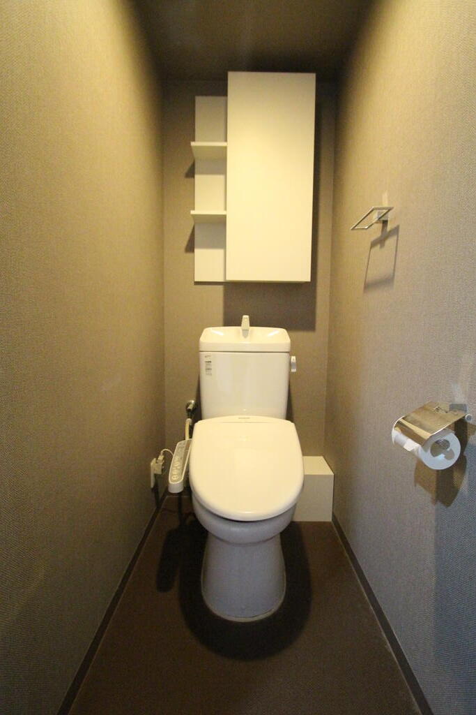Brillia越谷レイクタウンのトイレ写真