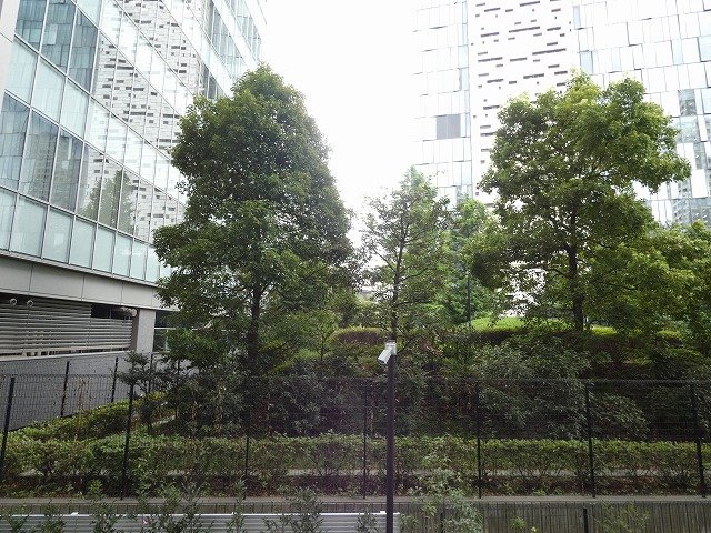 眺望　眺望