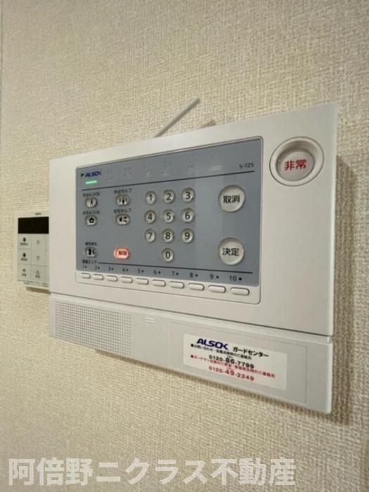 パライソのその他写真
