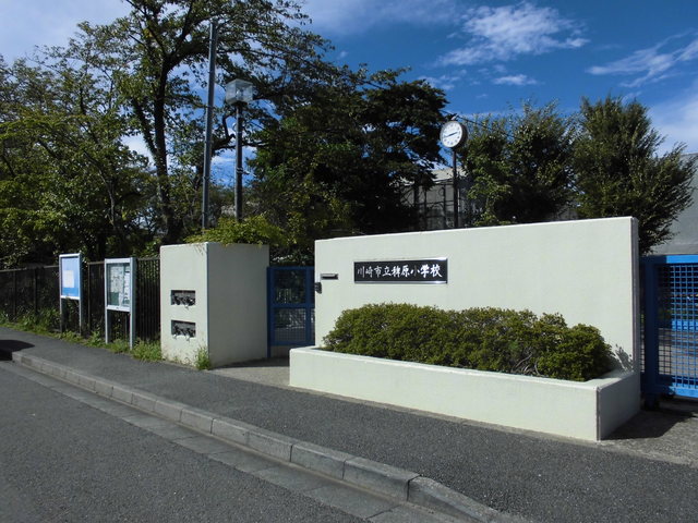 小学校　川崎市立稗原小学校（小学校）まで935m