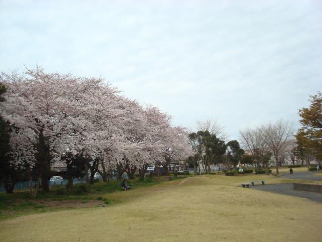 公園　船越公園（公園）まで553m