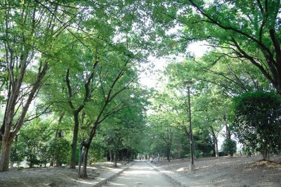 　元茨木川緑地（その他　872m）