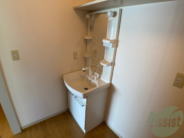 洗面設備　洗面台にシャワーが付いてますのでここで髪の毛のセット出来ます