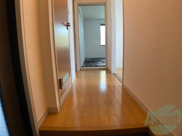 玄関　玄関から見たお部屋です。奥行で広さ伝わりますでしょうか