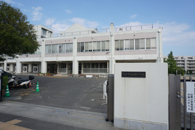中学校　ツルハドラッグ仙台台原店（中学校）まで1900m