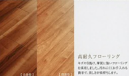 その他部屋・スペース　フローリングの色が階数によって異なります。