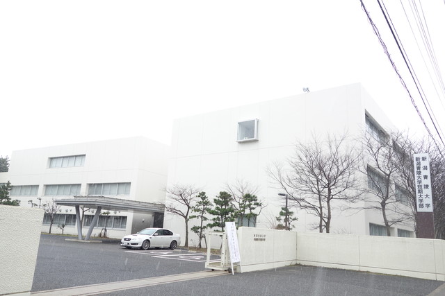 大学・短大　私立新潟青陵大学（大学・短大）まで1038m