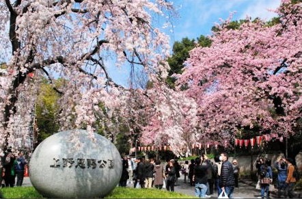 公園　上野動物園（公園）まで1247m