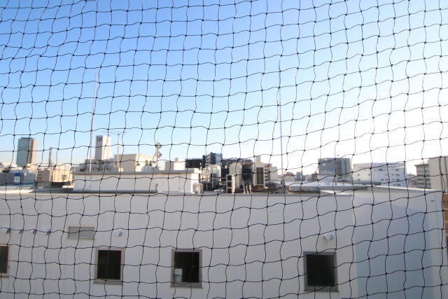 眺望　※別号室の参考写真のため現況優先です。