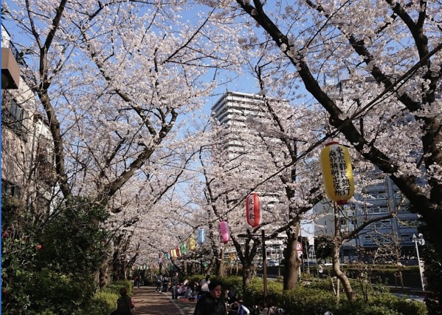 【コンフォリア東陽町の公園】