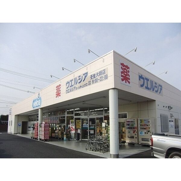 ドラックストア　ウエルシア壬生大師店（ドラッグストア）まで492m