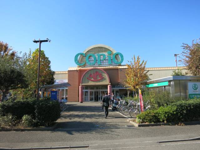 スーパー　（株）スーパーアルプス／城山店（スーパー）まで618m