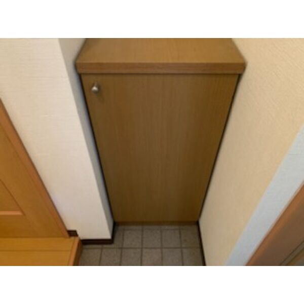 玄関　同物件の別部屋になります。