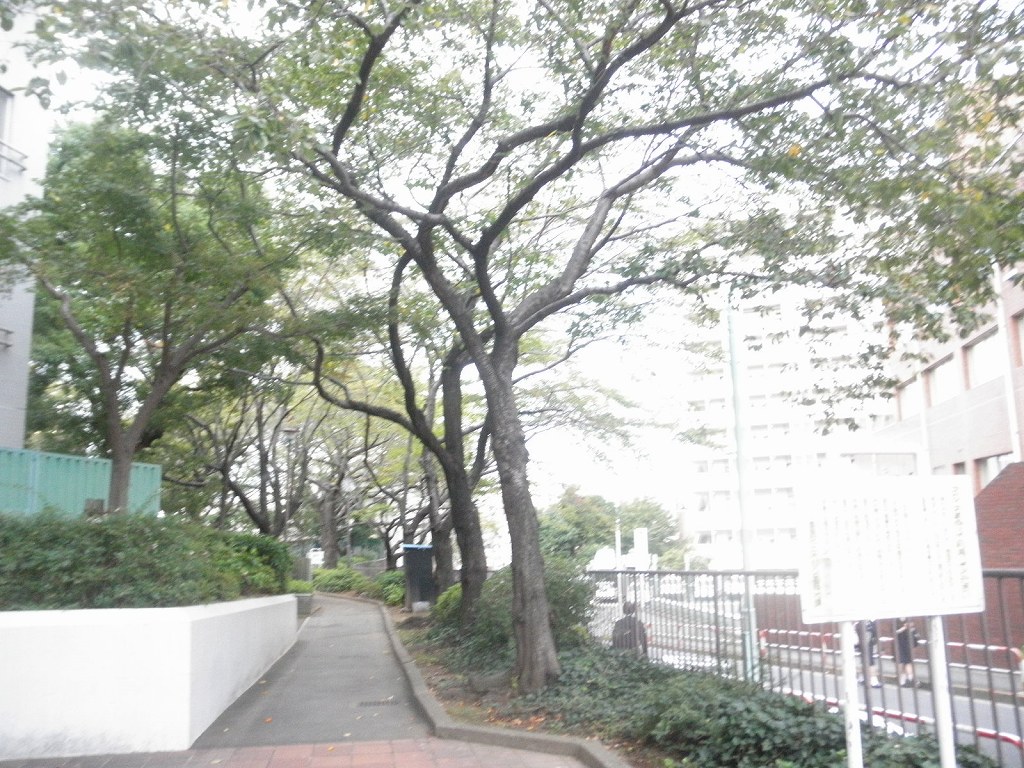 公園　豊島区立駒込公園（公園）まで218m