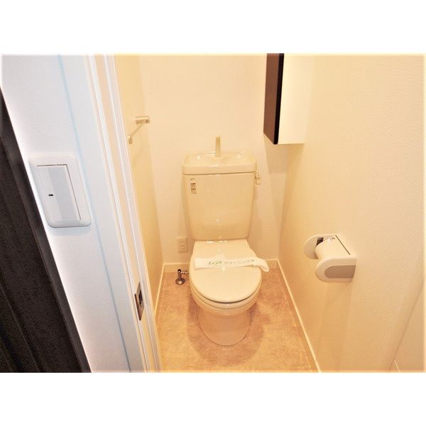 トイレ　トイレも気になるポイント