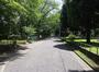 公園　富士森公園（公園）まで1900m