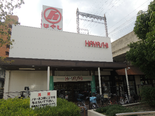 スーパー　スーパーはやし八尾店（スーパー）まで532m