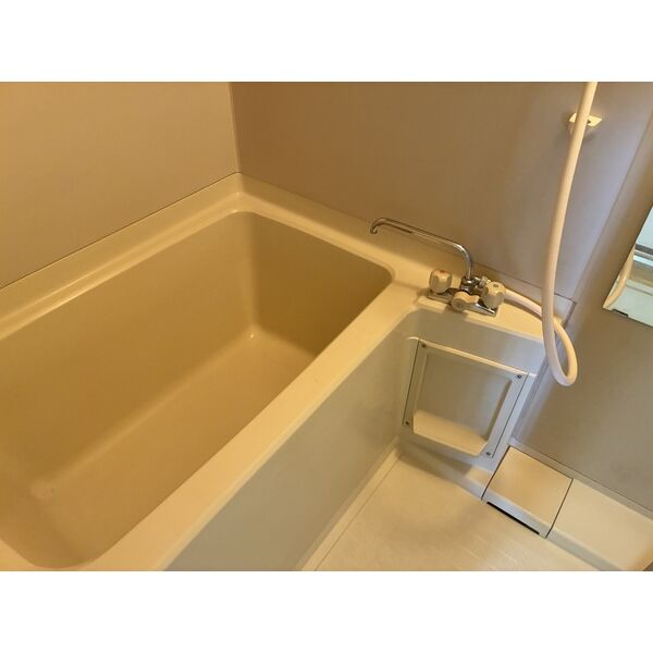 バス・シャワールーム　※写真は同じマンションの違う部屋のものになります。