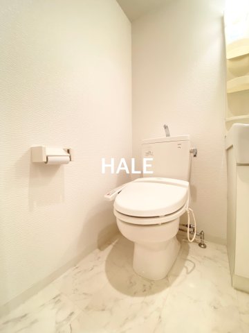 ピュアドームエクサイト博多アネックスのトイレ写真