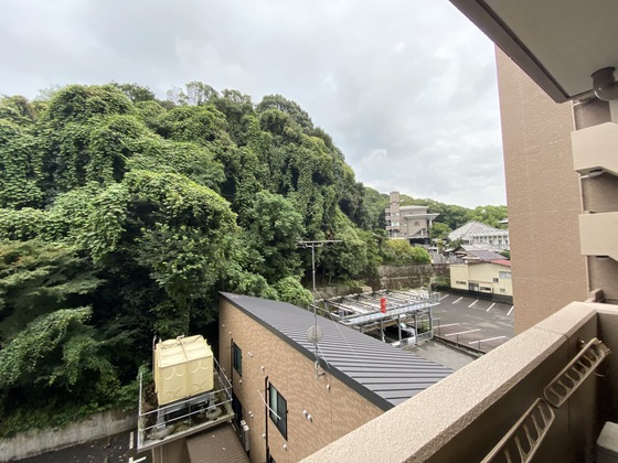 眺望　※別号室の写真です