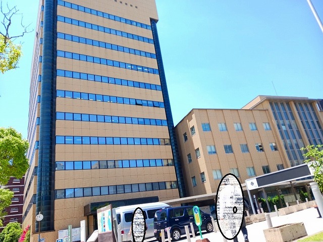 役所　鹿児島市役所（役所）まで800m