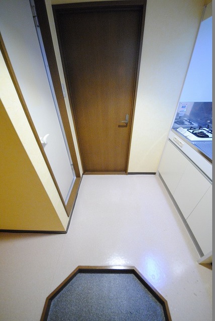 玄関　写真は３０１号室