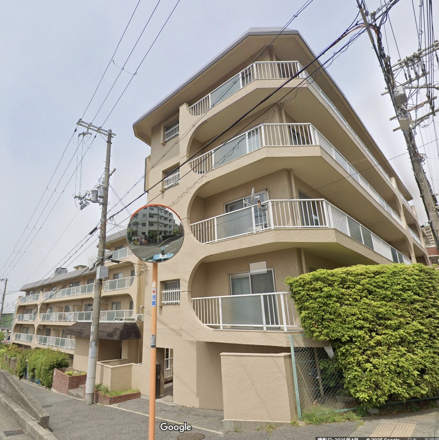スターハイツ住吉川の外観写真