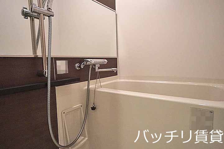 バス・シャワールーム　＊画像は別部屋の為イメージ、現状を優先いたします
