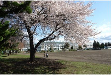 【テレパレス八戸売市の小学校】