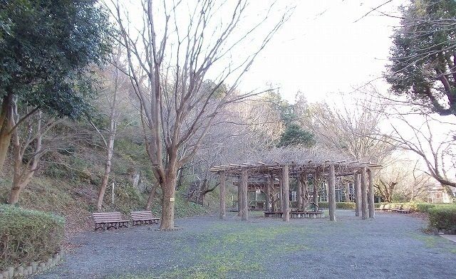 【ＳＴカトレア　Ａの公園】