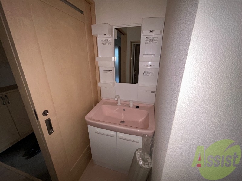 洗面設備　洗面台はこちらのシャンプードレッサー付きになります。