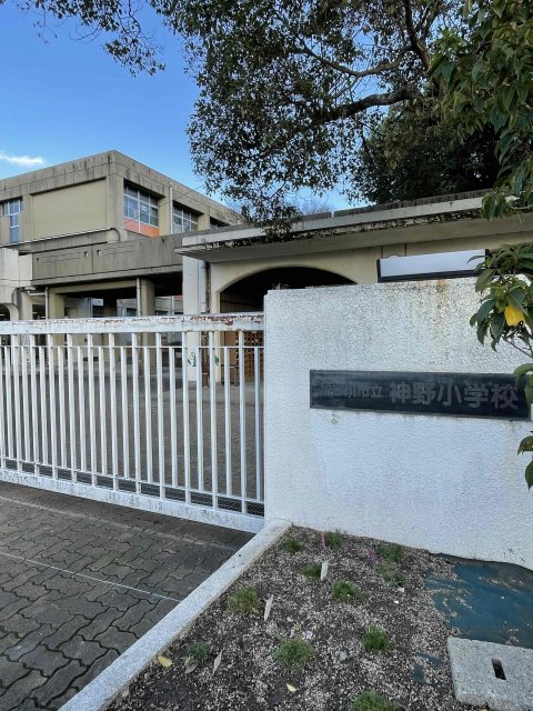 小学校　加古川市立神野小学校（小学校）まで1703m