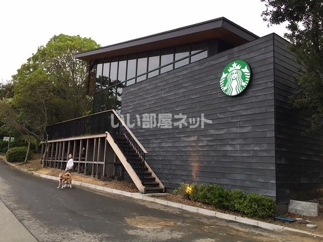 飲食店　スターバックスコーヒー 浜松城公園店（飲食店）まで703m