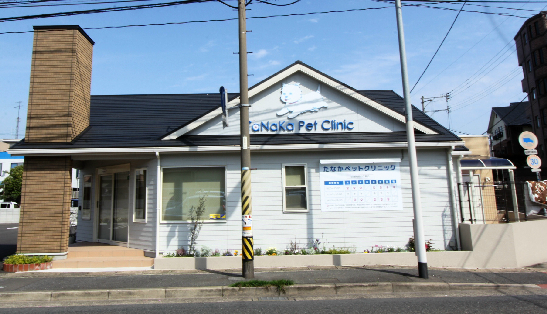 その他　【たなかペットクリニック】（その他）まで200m
