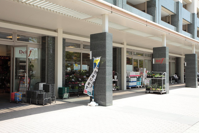 スーパー　デリド武蔵小杉店（スーパー）まで290m