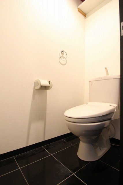 トイレ　同物件別号室の写真です。